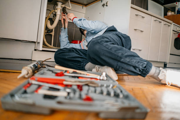 Best Plumbing Inspection Services  in Lakeshire, MO