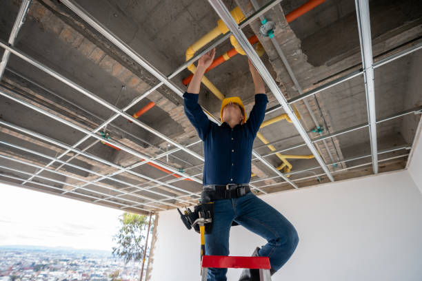 Best Affordable Plumber Near Me  in Lakeshire, MO