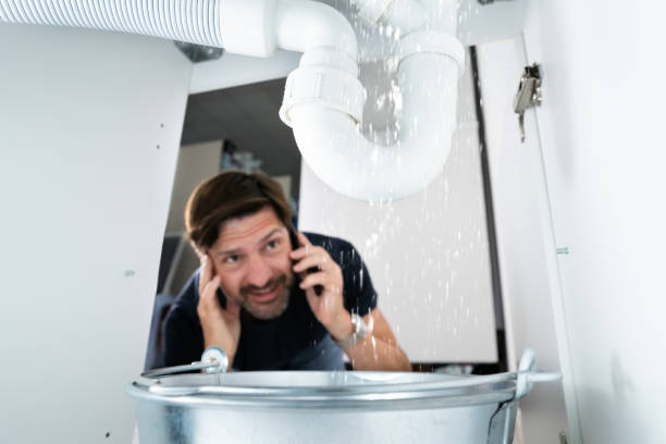 Best Plumbing Services Near Me  in Lakeshire, MO