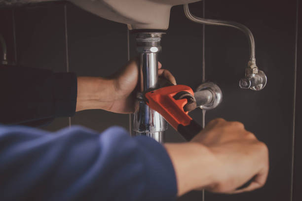 Best Local Plumber Services  in Lakeshire, MO